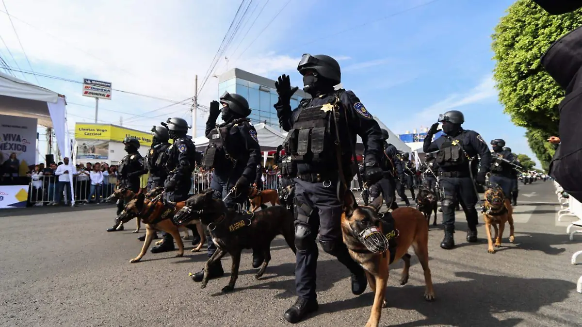 desfile militar